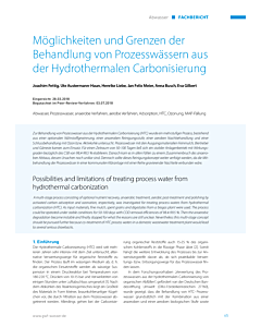 Möglichkeiten und Grenzen der Behandlung von Prozesswässern aus der Hydrothermalen Carbonisierung