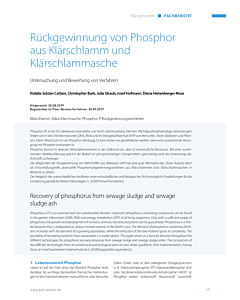 Rückgewinnung von Phosphor aus Klärschlamm und Klärschlammasche