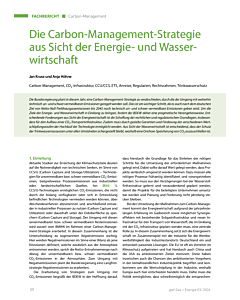 Die Carbon-Management-Strategie aus Sicht der Energie- und Wasserwirtschaft
