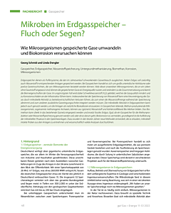 Mikroben im Erdgasspeicher – Fluch oder Segen?