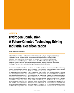 Hydrogen Combustion:  A Future-Oriented Technology Driving Industrial Decarbonization