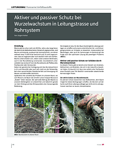 Aktiver und passiver Schutz bei Wurzelwachstum in Leitungstrasse und Rohrsystem