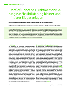 Proof-of-Concept: Direktmethanisierung zur Flexibilisierung kleiner und mittlerer Biogasanlagen