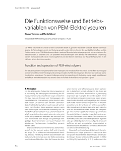 Die Funktionsweise und Betriebsvariablen von PEM-Elektrolyseuren