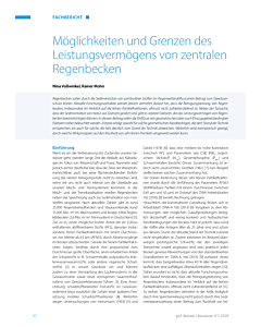 Möglichkeiten und Grenzen des Leistungsvermögens von zentralen Regenbecken