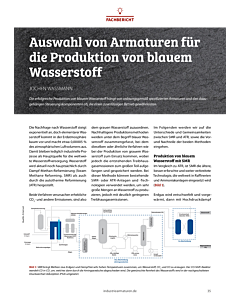 Auswahl von Armaturen für die Produktion von blauem Wasserstoff