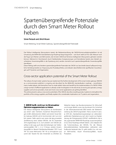 Spartenübergreifende Potenziale durch den Smart Meter Rollout heben