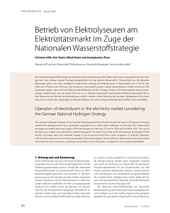 Betrieb von Elektrolyseuren am Elektrizitätsmarkt im Zuge der Nationalen Wasserstoffstrategie