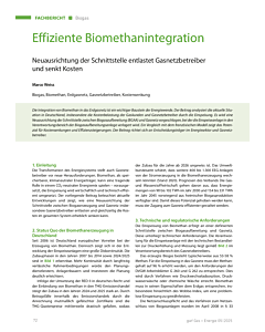 Effiziente Biomethanintegration