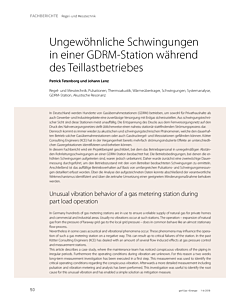 Ungewöhnliche Schwingungen in einer GDRM-Station während des Teillastbetriebes