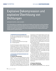 Explosive Dekompression und explosive Überhitzung von Dichtungen