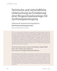 Technische und wirtschaftliche Untersuchung zur Erweiterung einer Biogaseinspeiseanlage mit Synthesegaserzeugung, Fallbeispiel der Biogaseinspeiseanlage Bebertal,
