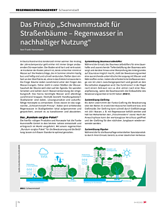 Das Prinzip „Schwammstadt für Straßenbäume – Regenwasser in nachhaltiger Nutzung“