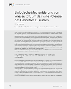 Biologische Methanisierung von Wasserstoff, um das volle Potenzial des Gasnetzes zu nutzen