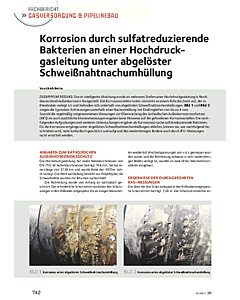 Korrosion durch sulfatreduzierende Bakterien an einer Hochdruckgasleitung unter abgelöster Schweißnahtnachumhüllung