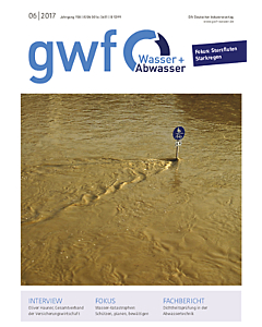 gwf - Wasser|Abwasser - Ausgabe 06 2017