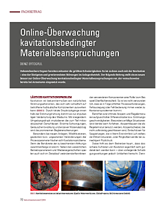Online-Überwachung kavitationsbedingter Materialbeanspruchungen