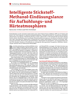 Intelligente Stickstoff-Methanol-Eindüsungslanze für Aufkohlungs- und Härteatmosphären
