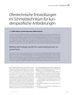 Entwicklung eines energie-effizienten Brenners mit reduzierender Schutzgasatmosphäre