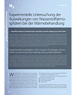 Experimentelle Untersuchung der Auswirkungen von Wasserstoffatmosphären bei der Wärmebehandlung