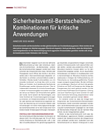 Sicherheitsventil-Berstscheiben-Kombinationen für kritische Anwendungen