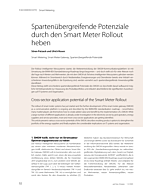 Spartenübergreifende Potenziale durch den Smart Meter Rollout heben