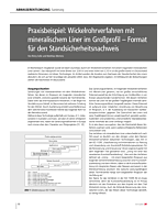 Praxisbeispiel: Wickelrohrverfahren mit mineralischem Liner im Großprofil – Format für den Standsicherheitsnachweis