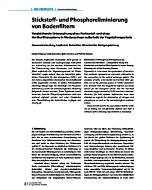 Stickstoff- und Phosphoreliminierung von Bodenfiltern
