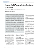 Wasserstoff-Messung bei Aufkohlungsprozessen